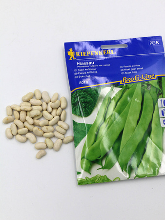 Fasola Zwykła 'Nassau' – Kiepenkerl