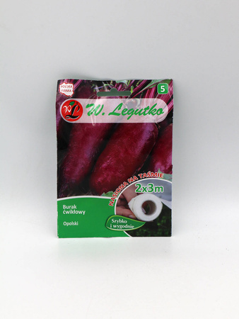Burak Ćwikłowy 'Opolski' nasiona na taśmie – 6 m Legutko