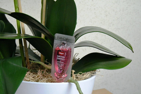Odżywka Aplikator Do Storczyków – Orchid Energy – 35 ml Target