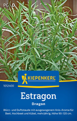 Estragon Dragon Kiepenkerl