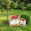 Lepinox Plus na ćmę bukszpanową – 10 g Target + Nawóz do drzew i krzewów owocowych – 1 kg Target (ZESTAW)
