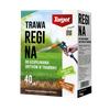 Regina – Trawa Regeneracyjna – Do Uzupełniania Ubytków – 1 kg Target