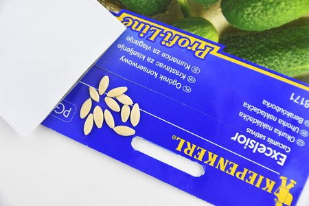 Ogórek Gruntowy 'Excelsior' F1 – Konserwowy – Kiepenkerl