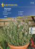 Tymianek – Wieloletni – Kiepenkerl