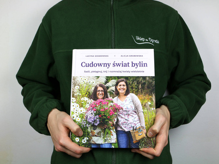 Książka Cudowny Świat Bylin – Lucyna i Alicja Grabowska