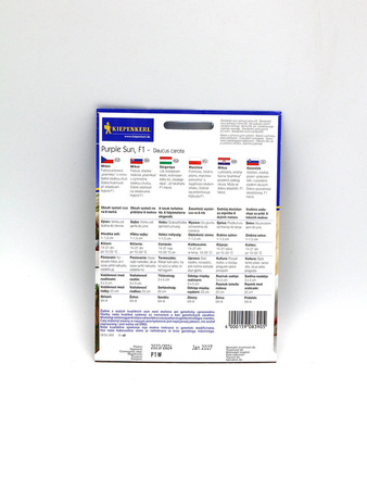 Marchew 'Purple Sun' F1 – Kiepenkerl