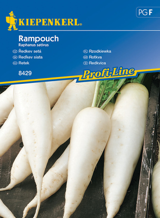 Rzodkiewka 'Rampouch' – Kiepenkerl