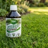 Skrzyp – Ekstrakt – 500 ml Target