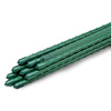 Tyczka PCV Zielona 120 cm - 10 szt Green Star