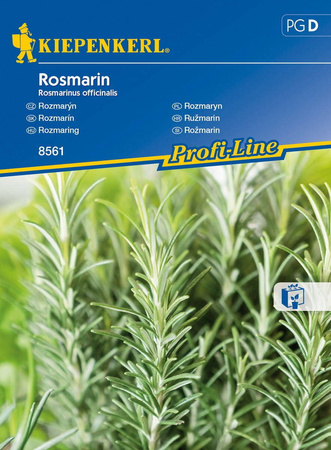 Rozmaryn Lekarski – Intensywny – Kiepenkerl