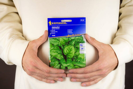 Szpinak 'Matador' – Mrozoodporny – Kiepenkerl