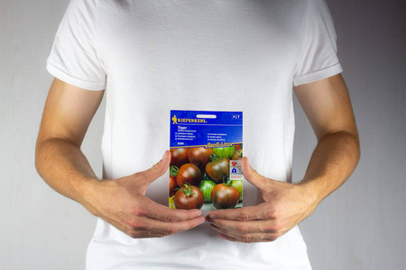 Pomidor 'Tiger' – Koktajlowy – Kiepenkerl