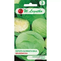 Kapusta Głowiasta Biała Brunświcka – 2 g Legutko