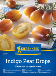 Pomidor Cherry 'Indigo' – Żółto-Fioletowy – Kiepenkerl