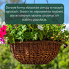 Złotooki bohater Vegano – 400 larw na mszyce, wciornastki, mączliki i wełnowce – 20 m² ochrony