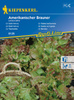 Sałata Karbowana 'Amerikanischer Brauner' – Kiepenkerl