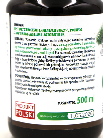 Skrzyp – Ekstrakt – 500 ml Target