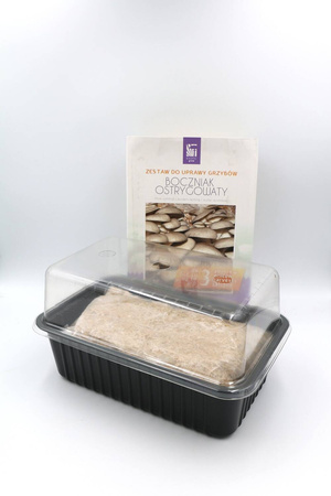 Boczniak Ostrygowaty – Zestaw Do Uprawy Grzybów – 3 l Exotic Grow Planto