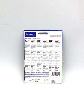 Mięta Pieprzowa 'Spearmint' – Kiepenkerl