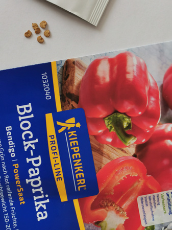 Papryka 'Bendigo' F1 – Nasiona Otoczkowane – Kiepenkerl