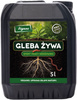 Gleba Żywa (efekt pracy dżdżownic) wermikompost w płynie do warzyw, owoców, trawnika i roślin ozdobnych – 5 l Vegano