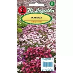 Skalnica – Mix Kolorów – Legutko