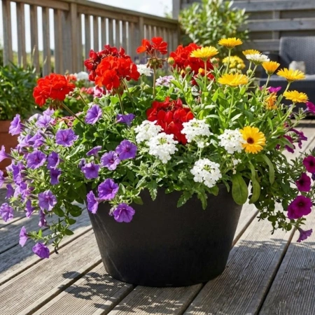 Doniczka czarna OCTAVIA 30x15cm Multy Home