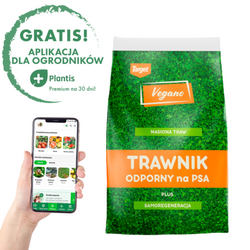 Trawnik odporny na psa – nasiona traw z mikrokoniczyną 4 kg Vegano