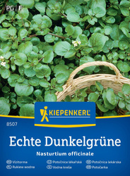 Rukiew wodna Echte Dunkelgrüne Kiepenkerl