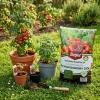 Ziemia Podłoże Do Pomidorów i Ziół – Domowa Plantacja – 20 l Target