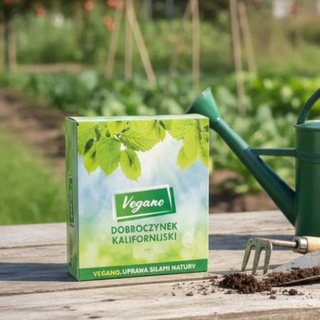 Dobroczynek kalifornijski – drapieżne roztocze na przędziorki 15 szt. Vegano