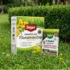 P-drakol regeneruje trawnik – 20 g Target + Nawóz do trawnika zagęszczający murawę – 1 kg Target (ZESTAW)