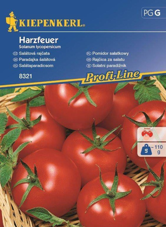 Pomidor 'Harzfeuer' F1 – Wczesny – Kiepenkerl