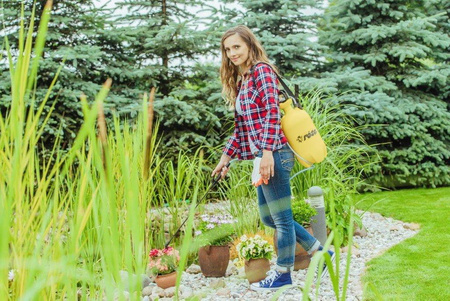 Opryskiwacz – Róża 6 Llitrów – Kwazar