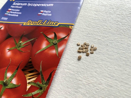 Pomidor 'Harzfeuer' F1 – Wczesny – Kiepenkerl