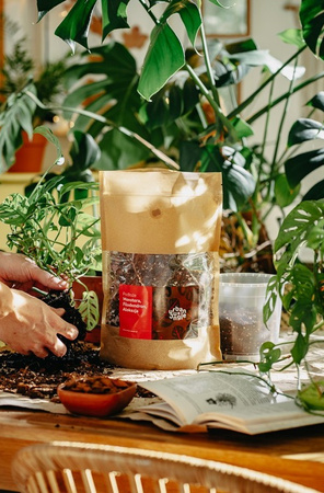 Podłoże do monstery, filodendrona, alokazji - bigos 5 l Urban Jungle