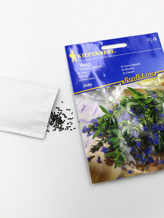 Hyzop Lekarski 'Ysop' – Kiepenkerl