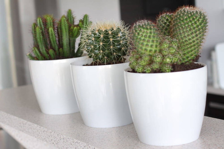 Osłonka Doniczka Ø135 mm Magnolia – Złota – Lamela