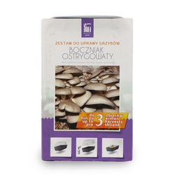 Boczniak Ostrygowaty – Zestaw Do Uprawy Grzybów – 3 l Exotic Grow Planto