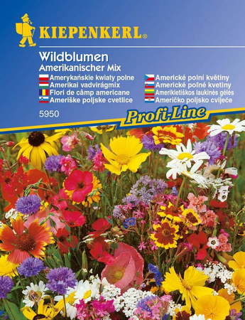 Dzikie Kwiaty Polne – Mix Nasion – Kiepenkerl