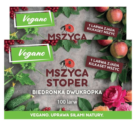 Mszyca Stoper – 200 larw biedronki dwukropki – na 10 roślin lub 10 m²