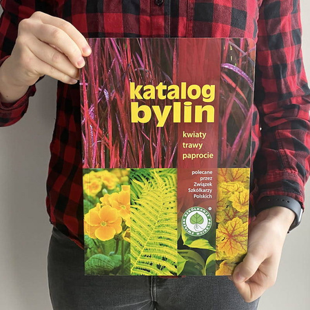 Katalog Bylin – Kwiaty Trawy Paprocie – Związek Szkółkarzy Polskich