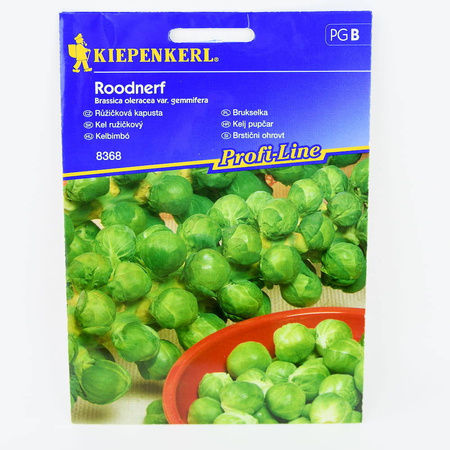 Brukselka 'Roodnerf' – Nasiona Kiepenkerl