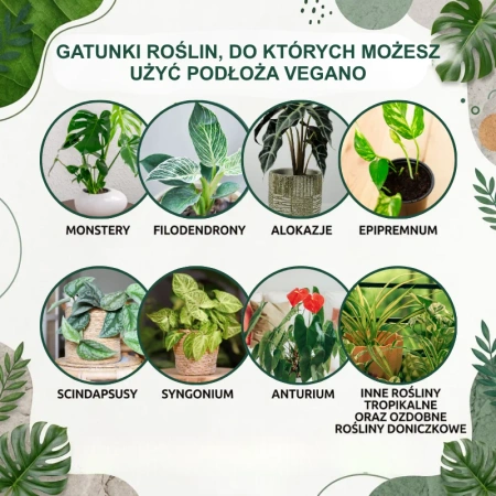 Żywe podłoże do monstery, filodendronów i roślin tropikalnych z dodatkiem Wermihumusu Vegano - 10 l (2 x 5 l)
