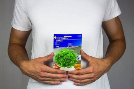 Bazylia Drobnolistna – Aromatyczna – Kiepenkerl