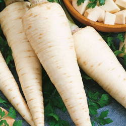 Pietruszka korzeniowa 'Halblange' – Kiepenkerl