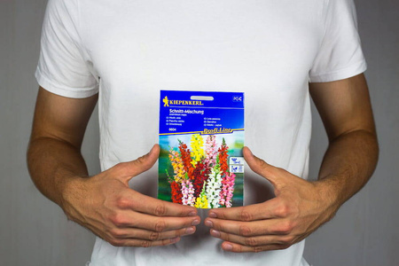 Lwia paszcza – Wysoka Mix – Kiepenkerl