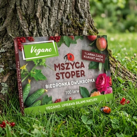 Mszyca Stoper