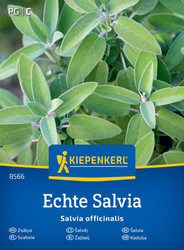 Szałwia – Bardzo Aromatyczna – Kiepenkerl