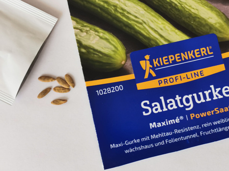 Ogórek Sałatkowy 'Maxime' F1 - Nasiona Otoczkowane – Kiepenkerl